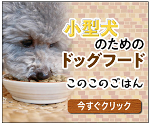 このこのごはん 取扱店